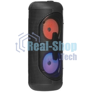 Акустическая система Ginzzu GM-210 Midi RGB/BT/USB/TF/FM/ДУ черный