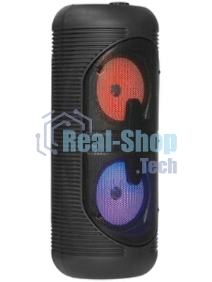 Акустическая система Ginzzu GM-210 Midi RGB/BT/USB/TF/FM/ДУ черный