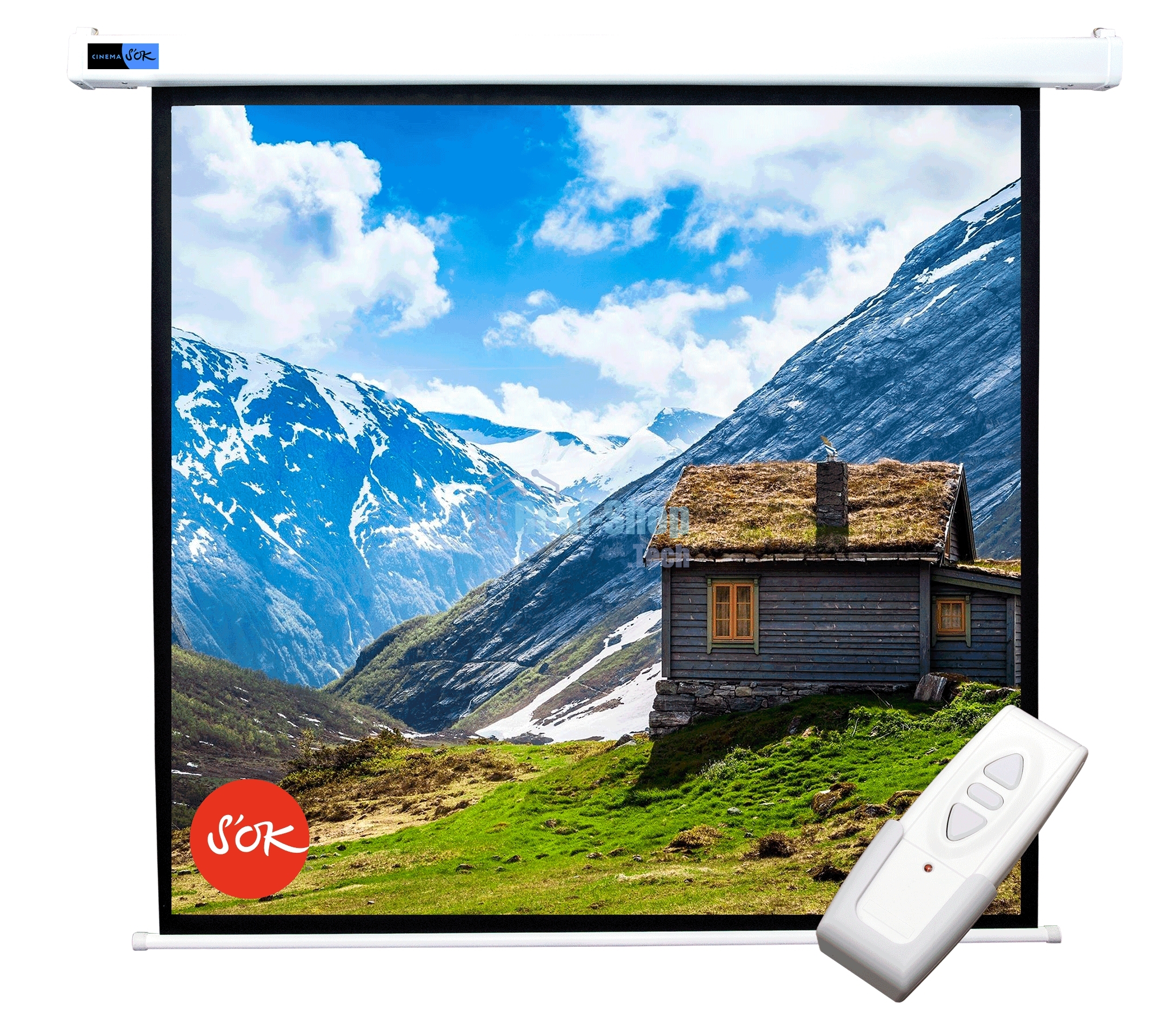 Экран 250x250 см Motoscreen 1:1 настенно-потолочный рулонный (моторизованный) 139' фибергласс