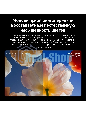 Телевизор Xiaomi TV S Mini LED 55 2026 L55MC-SRU черный 4K UHD 120Hz Smart TV Google TV 2GB/32GB