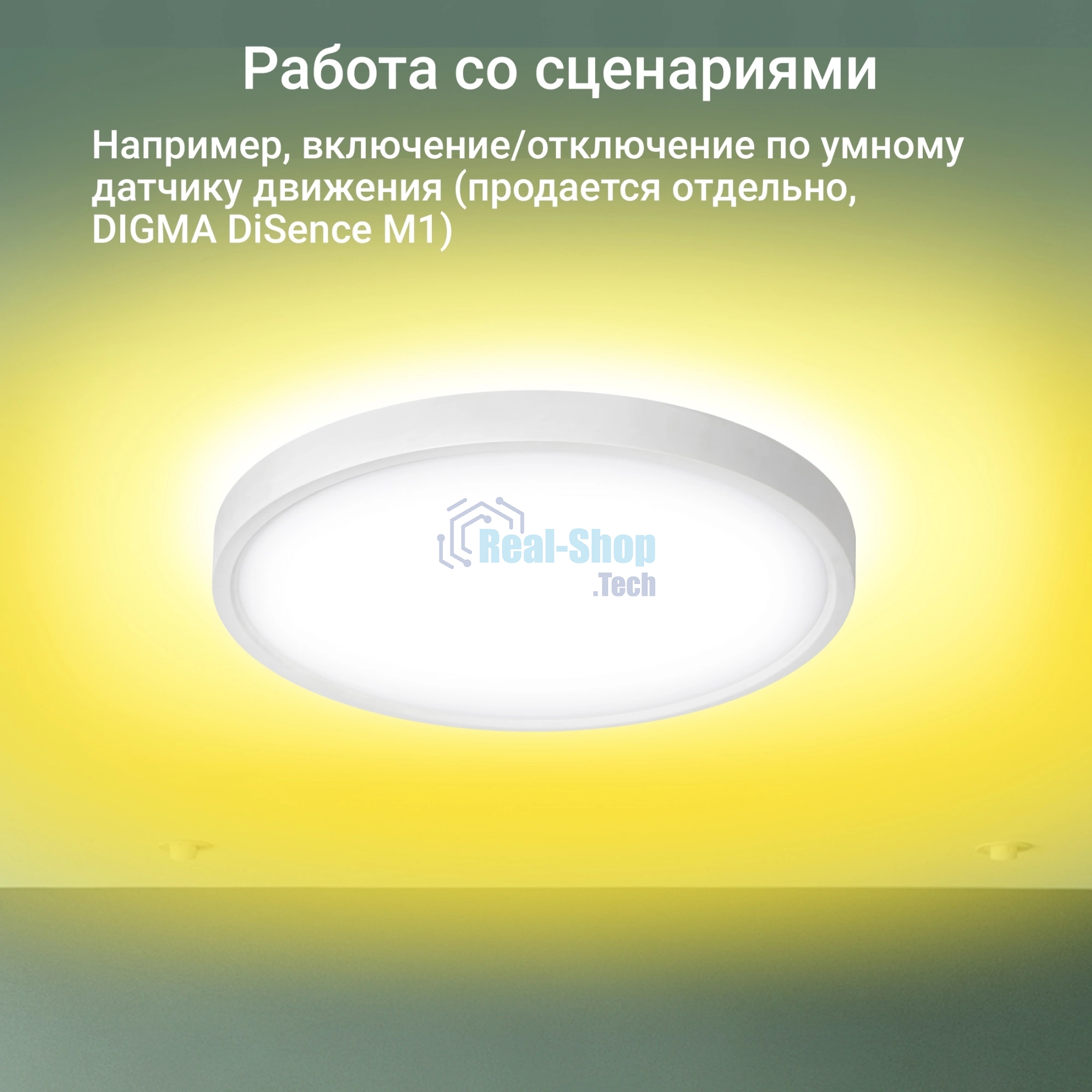 Умный светильник Digma TopLight TL40 потолоч. белый (TL40)