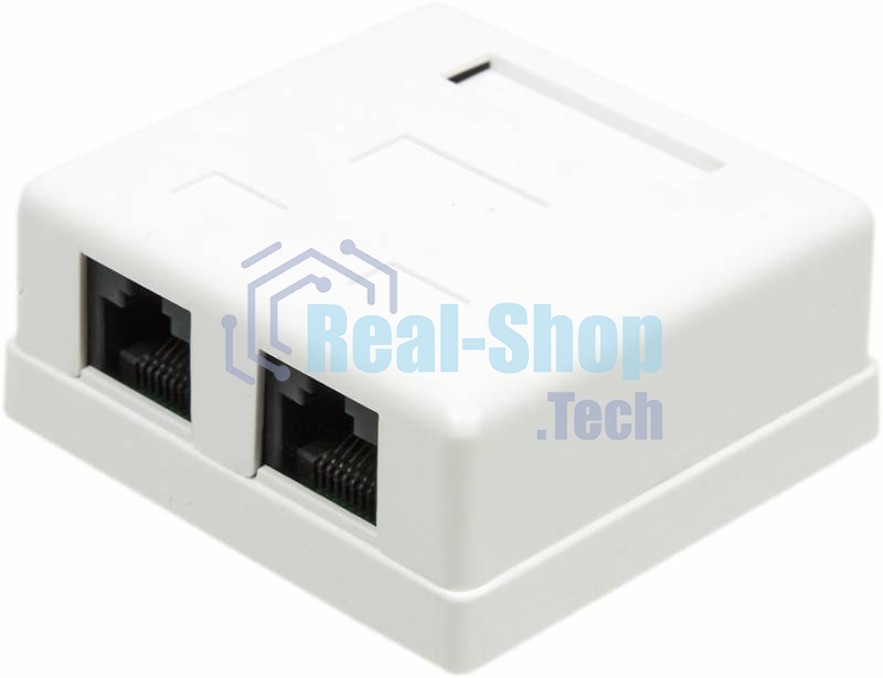 Розетка TWT (TWT-SM2-4545-WH) настенная 2 порта RJ-45 категории 5е. UTP. белая
