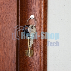 Неодимовый магнит диск Rexant 10х1мм с клеем сцепление 0,5 кг (упаковка 20 шт)