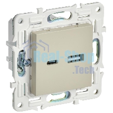 SKANDY Розетка USB A+C 18Вт SK-R13B бежевый  | SK-U22-018-K10 | IEK