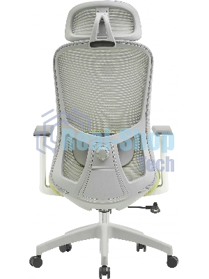 Кресло Cactus CS-GMC515-GYGN серый, сетка, подголовник