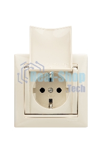 Механизм розетки 1-м СП Valena с защ. крышкой защ. шторки с заземл. сл. кость Legrand 774322