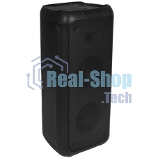 Акустическая система Midi TWS/BT/USB/TF/FM/ДУ GM-215 черный