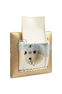 Механизм розетки 1-м СП Valena с защ. крышкой защ. шторки с заземл. сл. кость Legrand 774322
