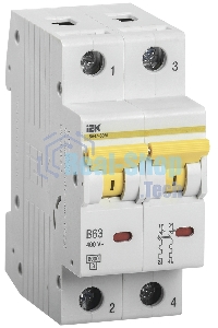 Выключатель автоматический двухполюсный ВА47-60M 2Р 16А 6кА С MVA31-2-016-C IEK