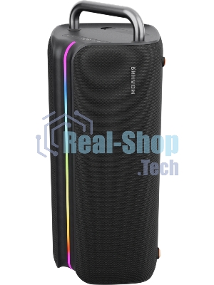 Колонка портативная Ural Молния Бит черный 420W 1.1 BT/3.5Jack/USB-C 10м 8000mAh (без.бат)