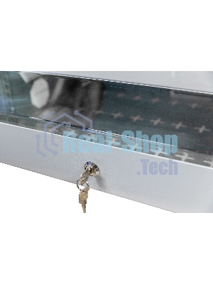 Шкаф коммутационный NTSS (NTSS-SOHO5U) настенный 5U 520x140 мм пер. дв. стекл несъемн. бок. пан. 80 кг белый IP20