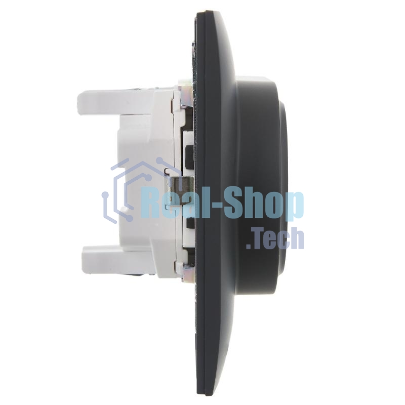 Розетка 2-м IEK SKANDY SK-R07G графит SK-R24-16-K53-F 16А с заземл. защ. штроки в сборе