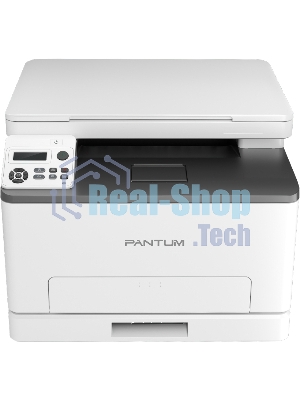 Принтер лазерный Pantum CP1100DN, A4, цветной, печ. до 18 стр/мин., 600 x 1200 dpi, USB, RJ-45