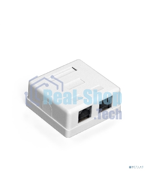 Розетка компьютерная двойная ExeGate SM2-RJ45-C6 RJ-45 кат.6 UTP Krone/110