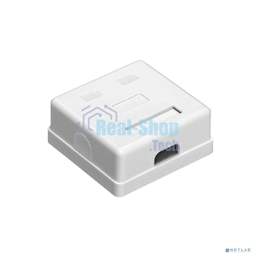 Розетка компьютерная двойная ExeGate SM2-RJ45-C6 RJ-45 кат.6 UTP Krone/110