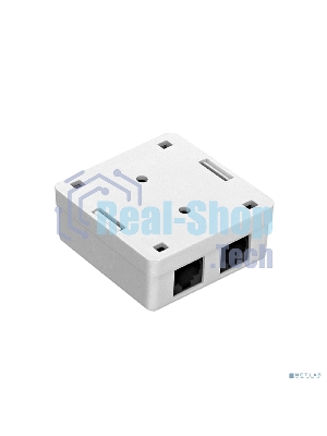 Розетка компьютерная двойная ExeGate SM2-RJ45-C6 RJ-45 кат.6 UTP Krone/110