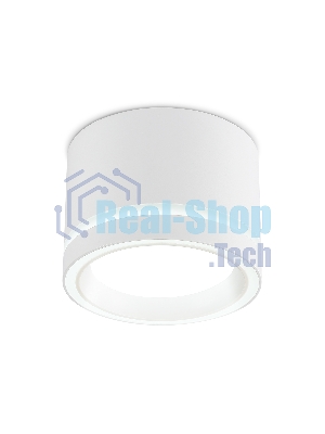 Накладной точечный светильник TU5530 WH белый IP20 GX70 D120*87