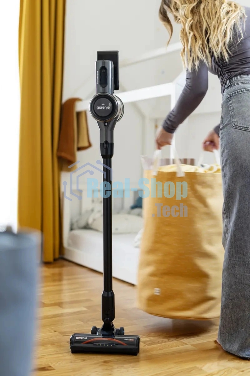 Пылесос Gorenje SVC222480AA 250Вт черный