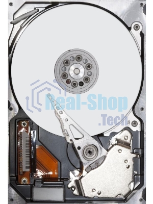 Жесткий диск Seagate SATA 10Tb 7200RPM 6Gb/S 256MB ST10000VN000