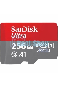 Флеш карта SDXC 256Gb UHS-I SDSDUNR-256G-GN3IN SANDISK
