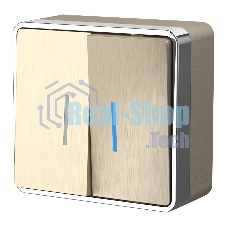 Выключатель двухклавишный с подсветкой Gallant (шампань рифленый) W5020110
