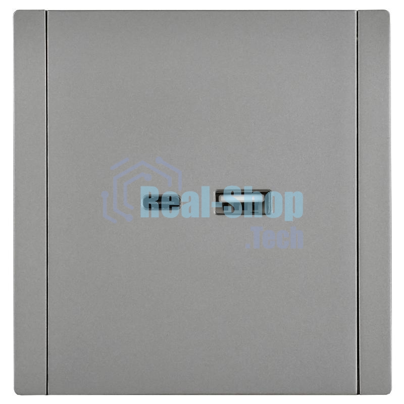 Розетка USB A+C 18Вт FP551 IEK FORTE&PIANO Сталь