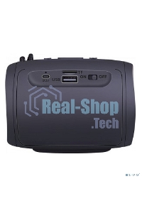 Портативная колонка Defender Enjoy S200 5Вт Light/BT/FM/USB/TF/1200мА·ч черный