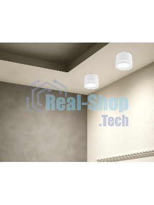 Накладной точечный светильник TU5530 WH белый IP20 GX70 D120*87