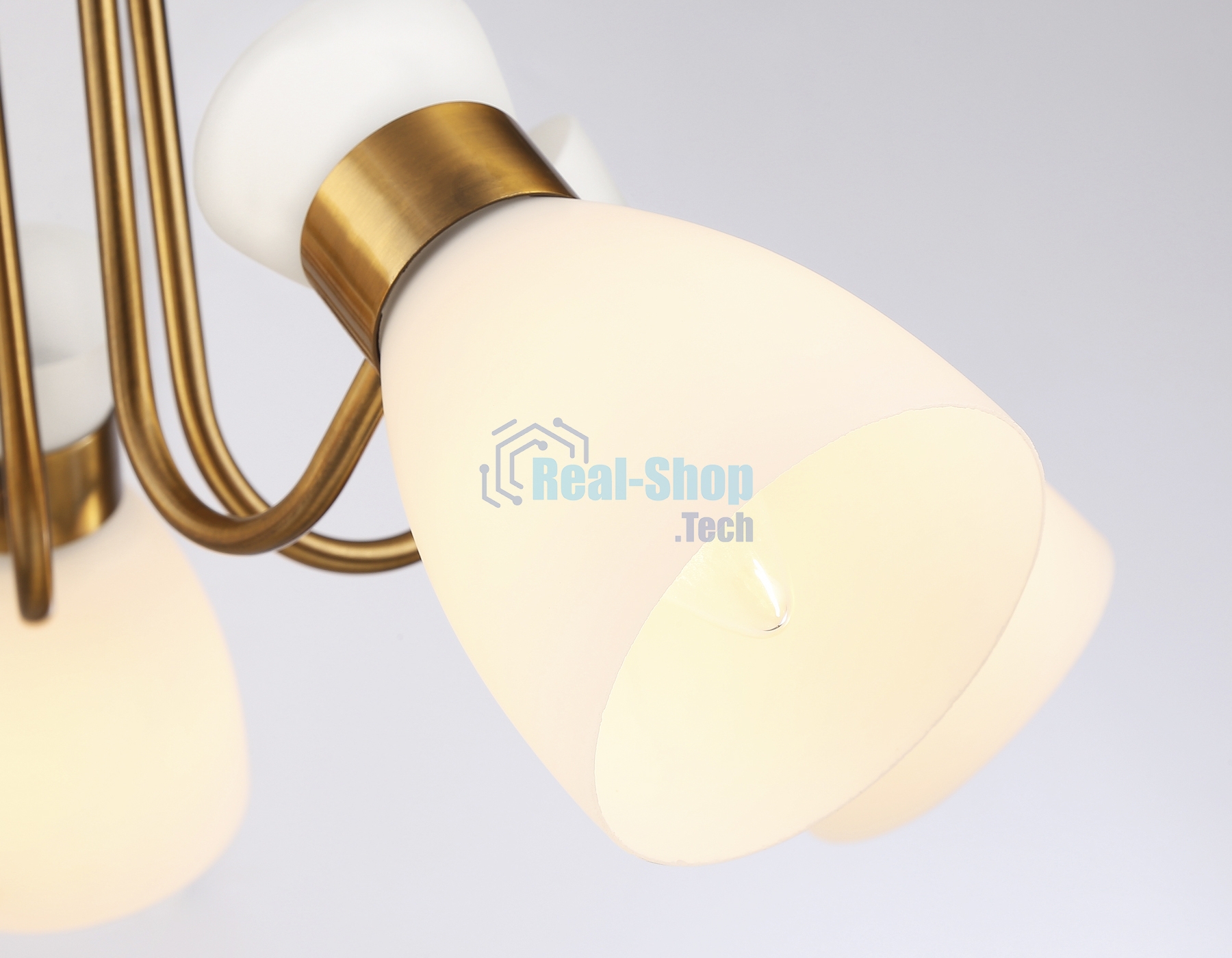 Светильник Ambrella light TR3218/5 GD/FR золото/белый матовый E27*5 max 40W D580*290