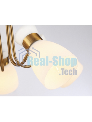 Светильник Ambrella light TR3218/5 GD/FR золото/белый матовый E27*5 max 40W D580*290