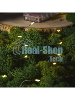 Гирлянда Neon-night Роса с контроллером 20м, 200 LED, IP20, 230В, зеленый провод, теплое белое свечение