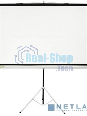 Экран Cactus 127x127см Triscreen CS-PST-127X127 1:1 напольный рулонный белый