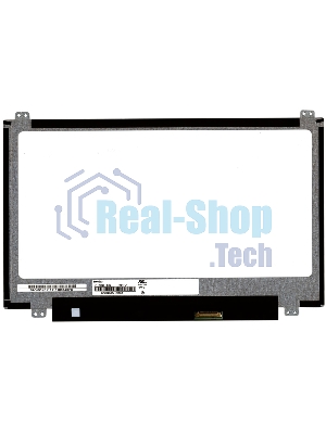 Матрица N116BGE-E42