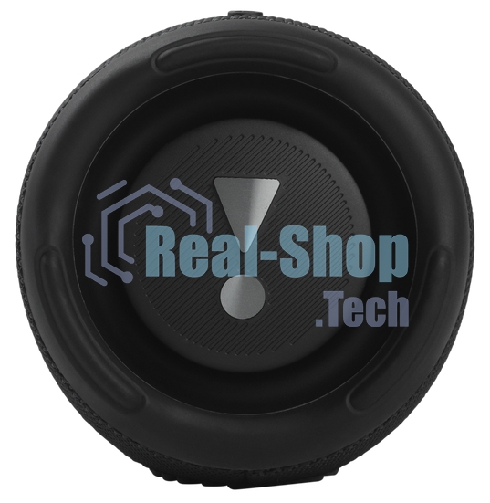 Портативная акустика JBL Charge 5, черный