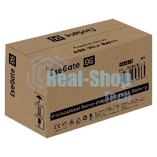 Аккумуляторная батарея ExeGate HR 12-65 (12V 65Ah, под болт М6)