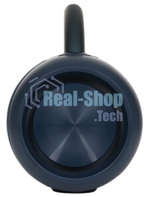 Колонка беспроводная Smartbuy MASTER, синий
