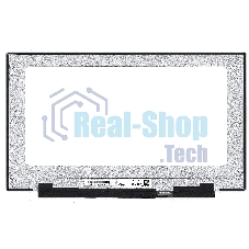 Матрица LQ173M1JW03