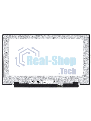 Матрица LQ173M1JW03