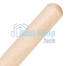 Грабли Сибртех веерные 20 зубьев, с черенком, оксидированные, плоский зуб