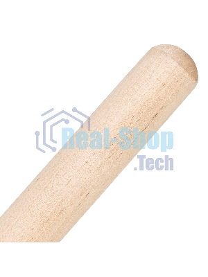 Грабли Сибртех веерные 20 зубьев, с черенком, оксидированные, плоский зуб