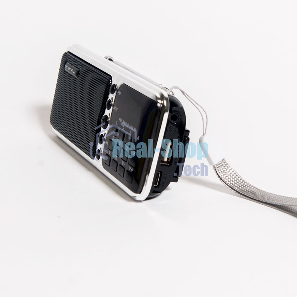 Радиоприемник портативный Сигнал РП-226BT черный/серебристый USB microSD