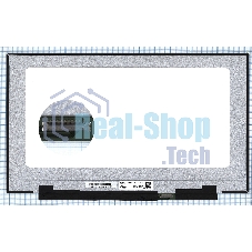 Матрица LQ173M1JW03