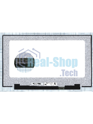 Матрица LQ173M1JW03