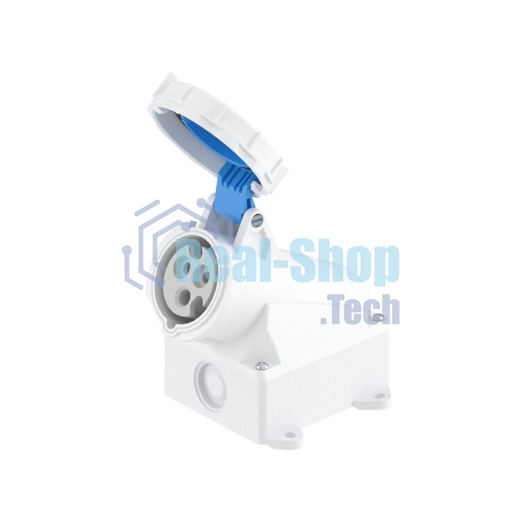 DKC Розетка настенная WS IP67 32A 2P+E 230В