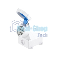 DKC Розетка настенная WS IP67 32A 2P+E 230В