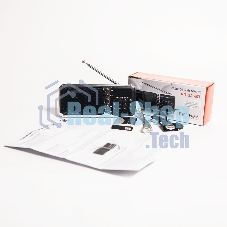 Радиоприемник портативный Сигнал РП-226BT черный/серебристый USB microSD