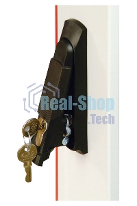 Шкаф коммутационный ЦМО ШТК-М-42.6.10-3ААА 42U 600x1020 мм пер. дв. металл задн. дв. стал. лист 2 бок. пан. направл. под закл. гайки 550 кг серый