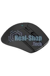 Мышь беспроводная Acer OMR170 черный, 1600 dpi, радиоканал, Bluetooth, USB, кнопки - 6