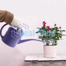 Лейка Россия малая, 1.3 л, пластмассовая Россия 67500