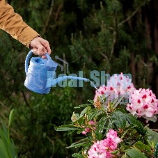 Лейка Россия малая, 1.3 л, пластмассовая Россия 67500